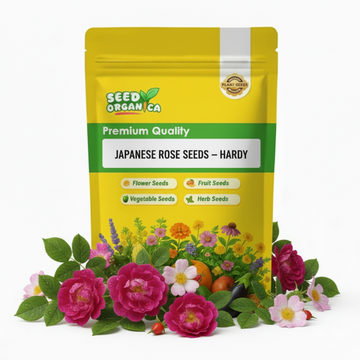 Japanese Rose Seeds – Hardy