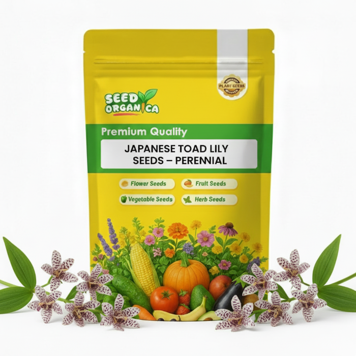 Japanese Toad Lily Seeds – Perennial