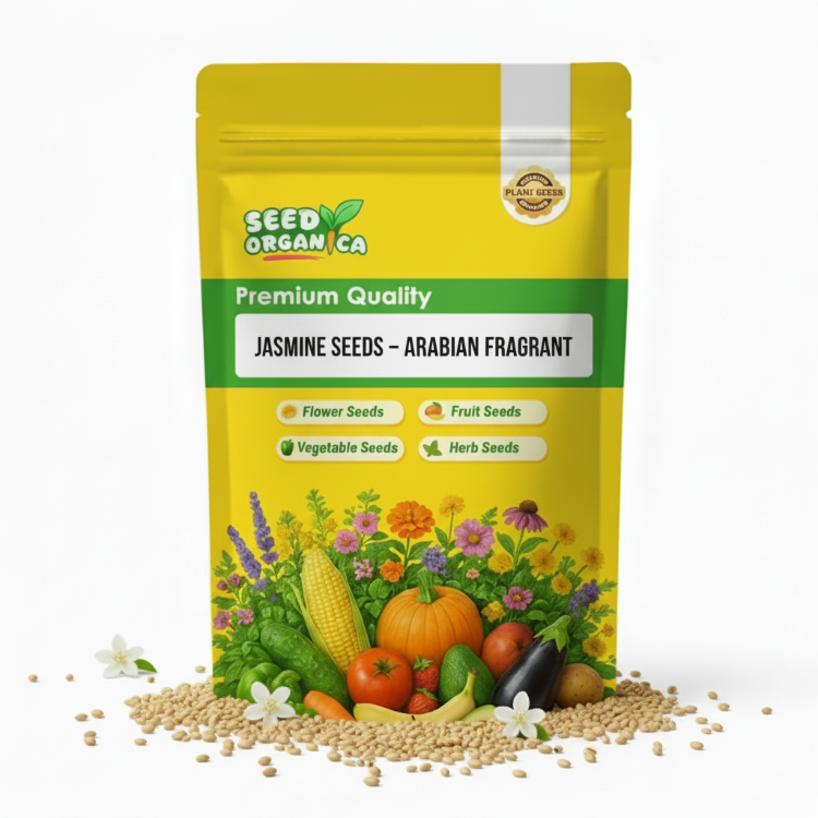 Jasmine Seeds – Arabian Fragrant