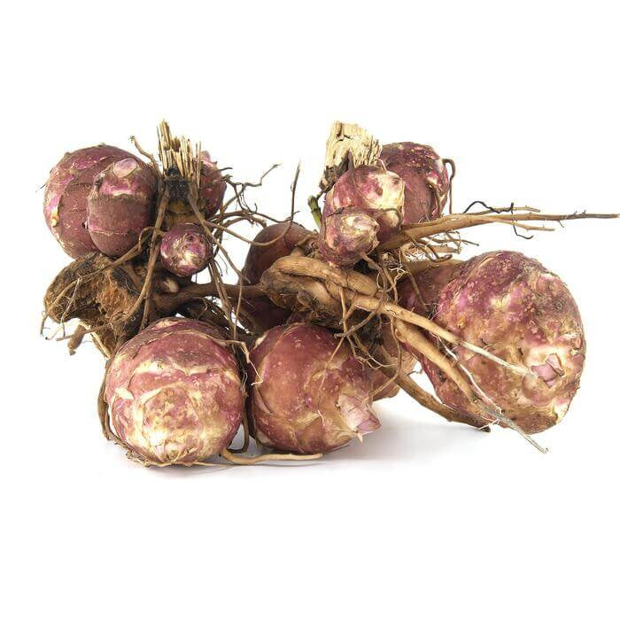  Jerusalem Artichoke Seeds