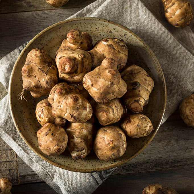 Jerusalem Artichoke Seeds for Planting