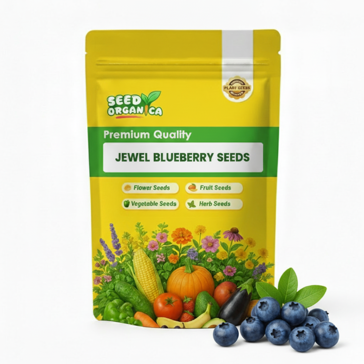 Jewel Blueberry Seeds