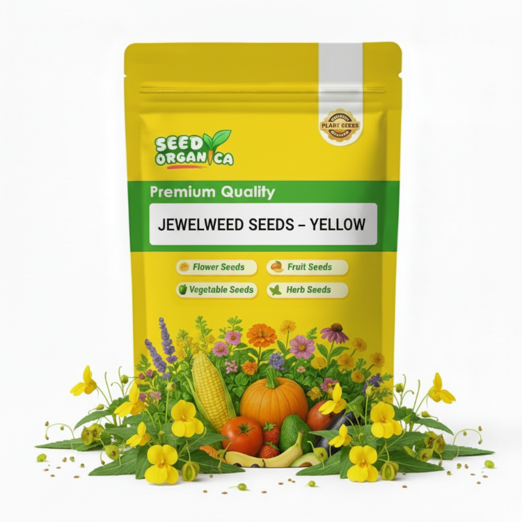 Jewelweed Seeds – Yellow