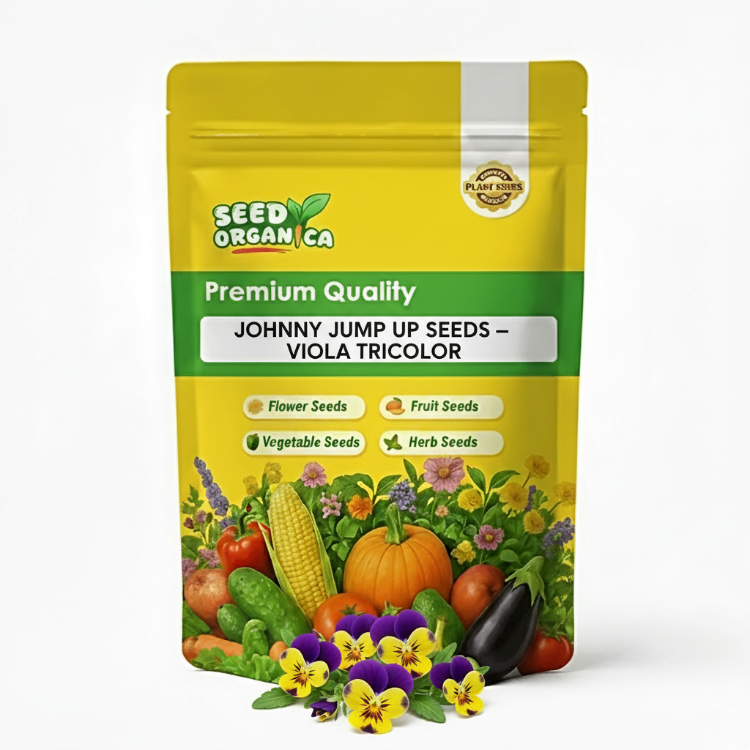 Johnny Jump Up Seeds – Viola tricolor