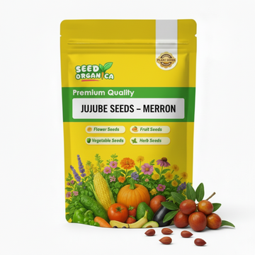 Jujube Seeds – Merron