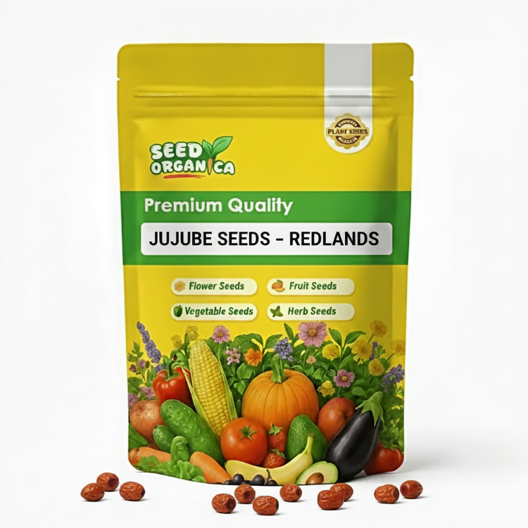 Jujube Seeds – Redlands
