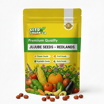 Jujube Seeds – Redlands