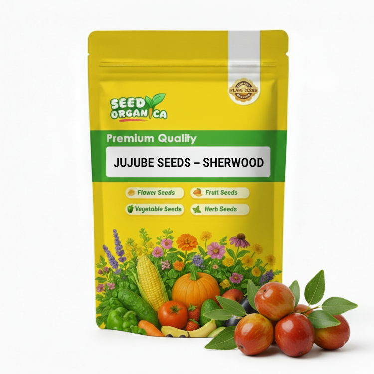 Jujube Seeds – Sherwood
