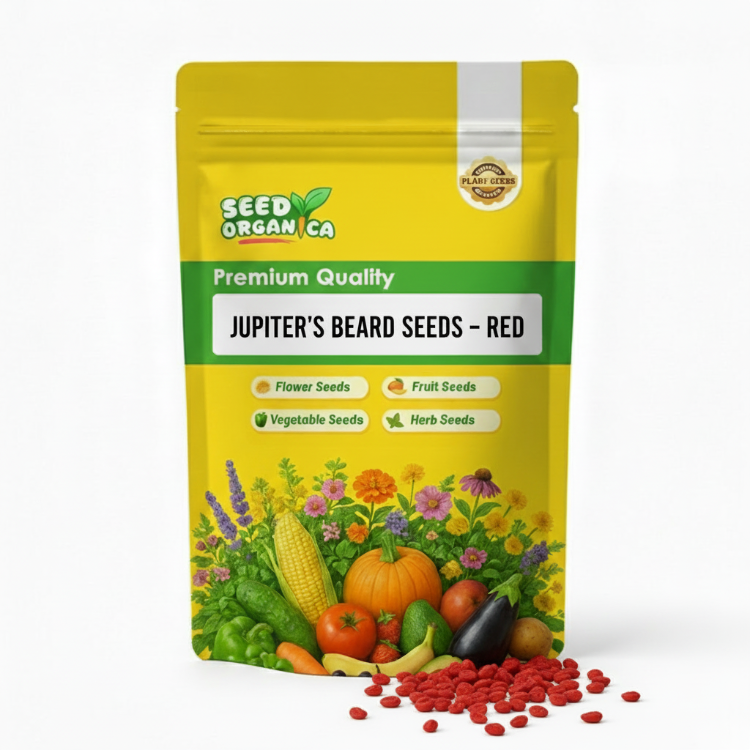 Jupiter's Beard Seeds – Red