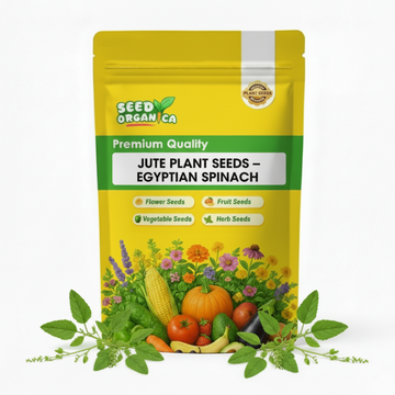 Jute Plant Seeds – Egyptian Spinach