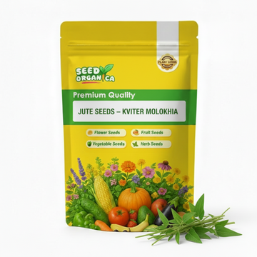 Jute Seeds – KVITER Molokhia