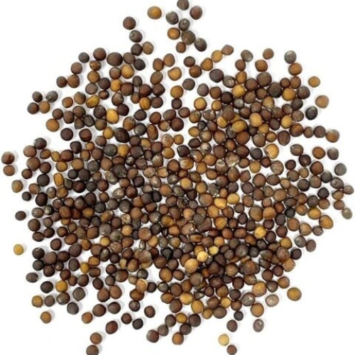 Kale Seeds - All In One For Home Gardens