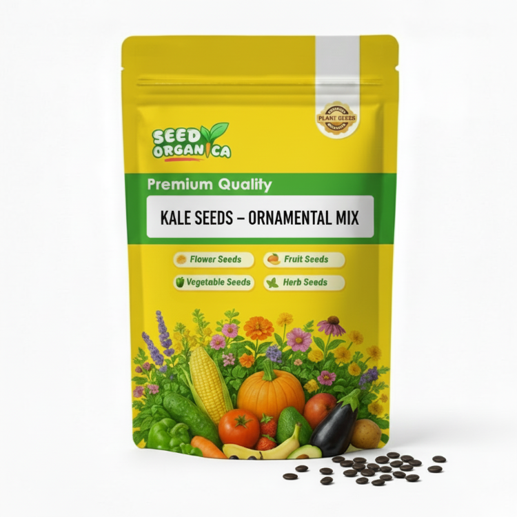 Kale Seeds – Ornamental Mix