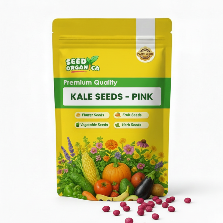 Kale Seeds – Pink