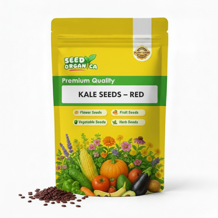 Kale Seeds – Red