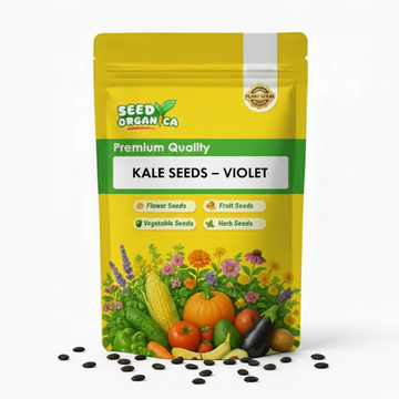 Kale Seeds – Violet