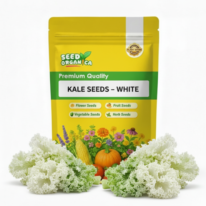 Kale Seeds – White
