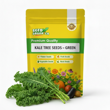 Kale Tree Seeds – Green