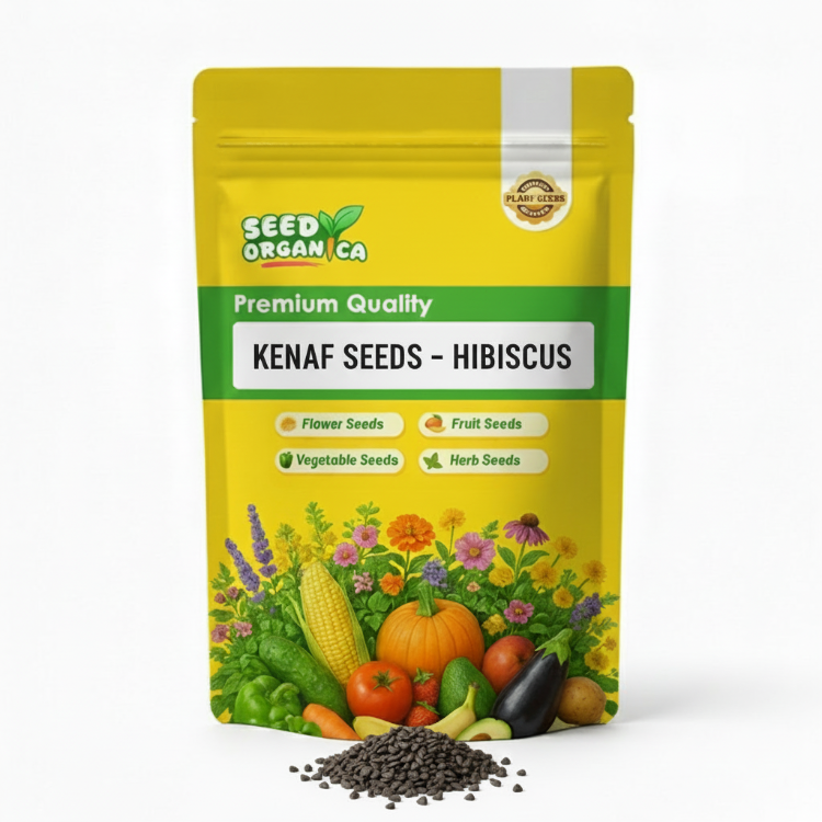 Kenaf Seeds – Hibiscus