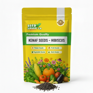 Kenaf Seeds – Hibiscus