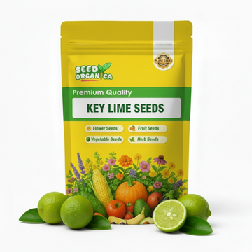 Key Lime Seeds