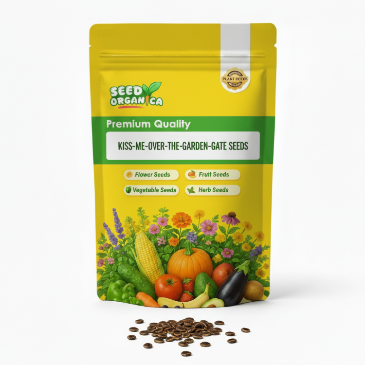 Kiss-Me-Over-The-Garden-Gate Seeds