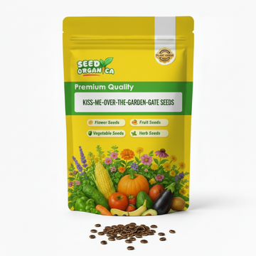 Kiss-Me-Over-The-Garden-Gate Seeds