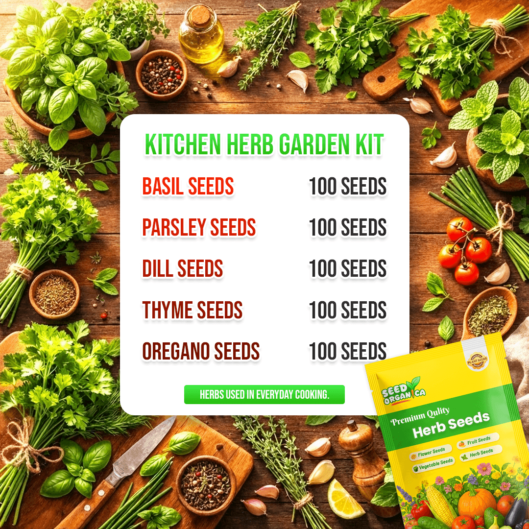 Kitchen Herb Garden Kit