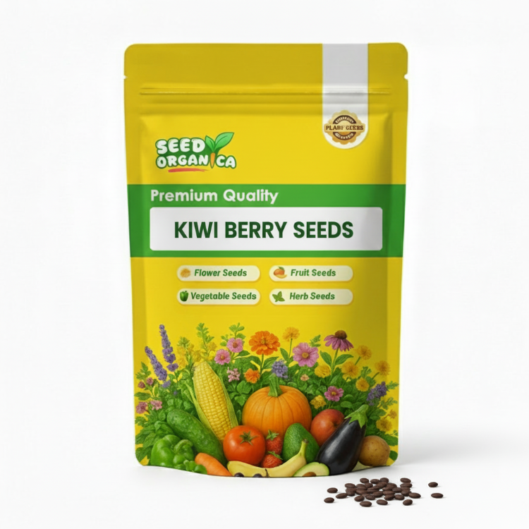 Kiwi Berry Seeds