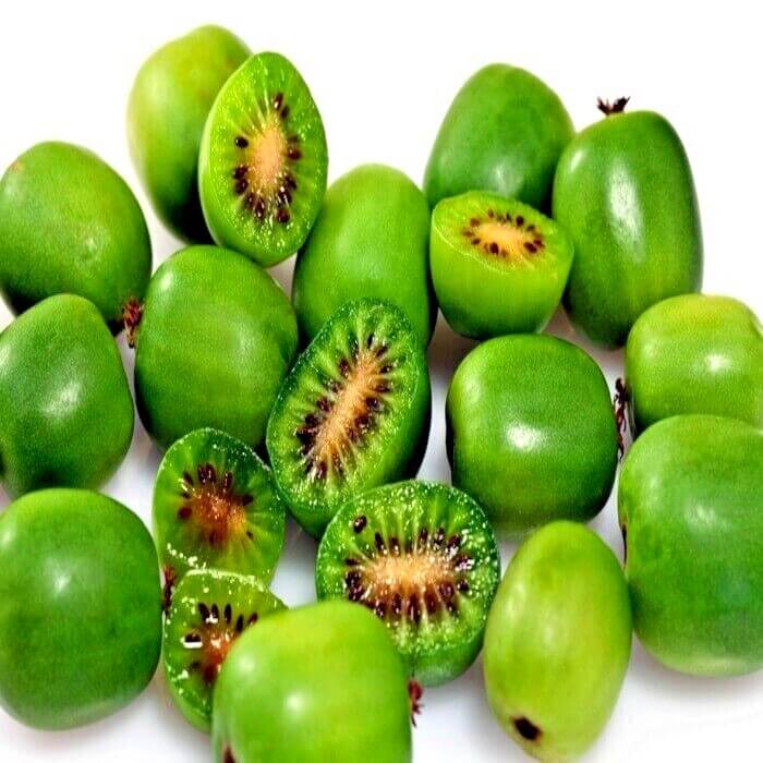Kiwi Seeds – Issai