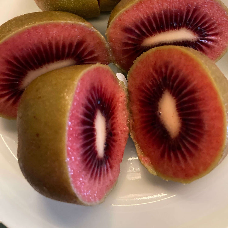 Kiwi Seeds – Ruby Red