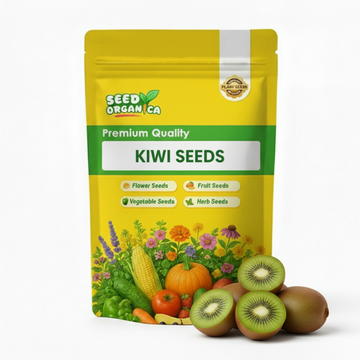 Kiwi Seeds