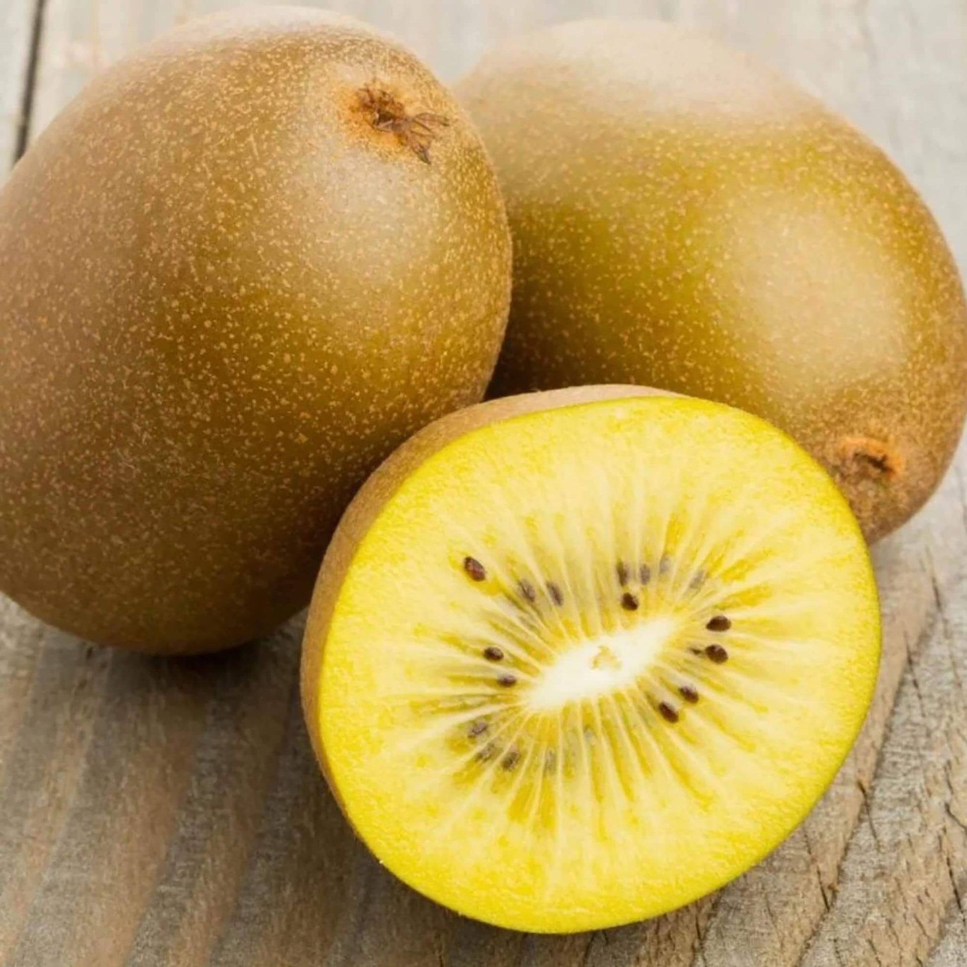 Kiwi Seeds – Golden