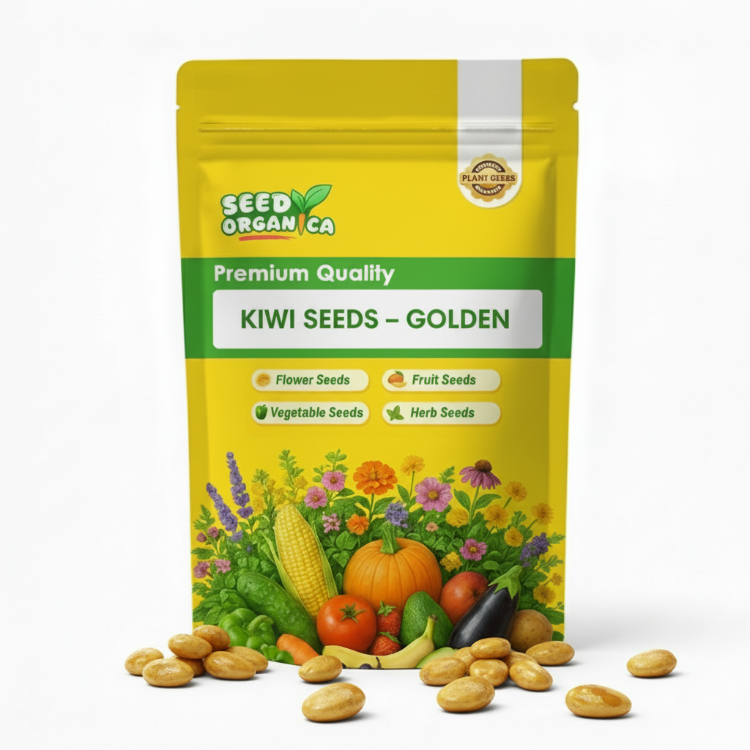 Kiwi Seeds – Golden