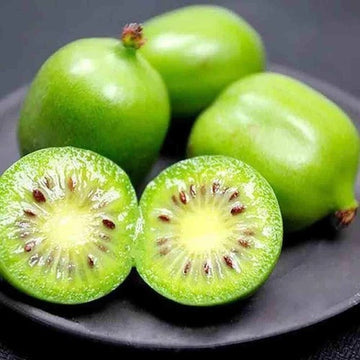 Kiwi Seeds – Green