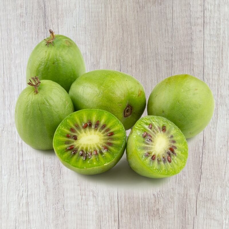 Kiwi Seeds – Green