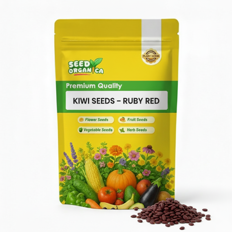 Kiwi Seeds – Ruby Red
