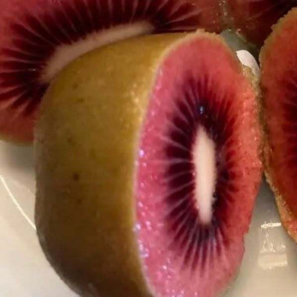 Kiwi Seeds – Scarlet Red-Fleshed
