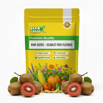 Kiwi Seeds – Scarlet Red-Fleshed