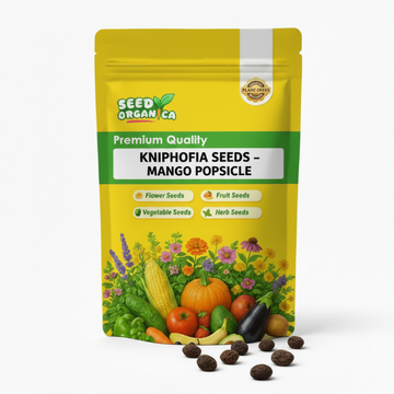 Kniphofia Seeds – Mango Popsicle