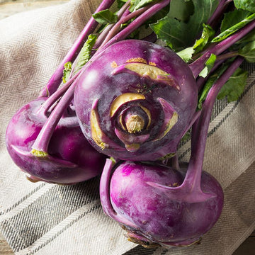 Kohlrabi Seeds –  Purple Vienna