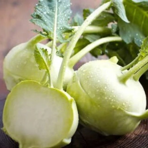 Kohlrabi Seeds - White 