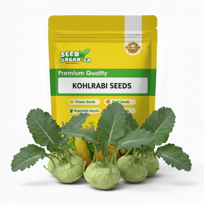 Kohlrabi Seeds
