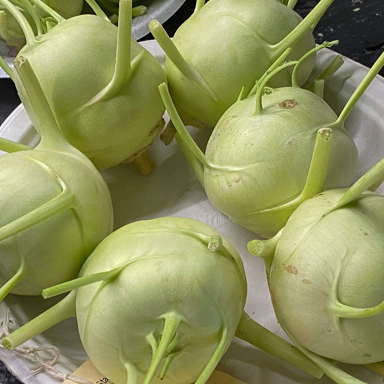 Kohlrabi Seeds - All In One For Home Gardens