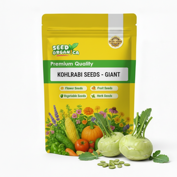 Kohlrabi Seeds - Giant