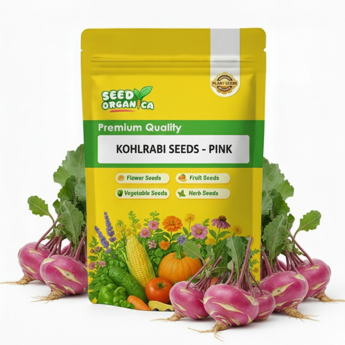 Kohlrabi Seeds - Pink