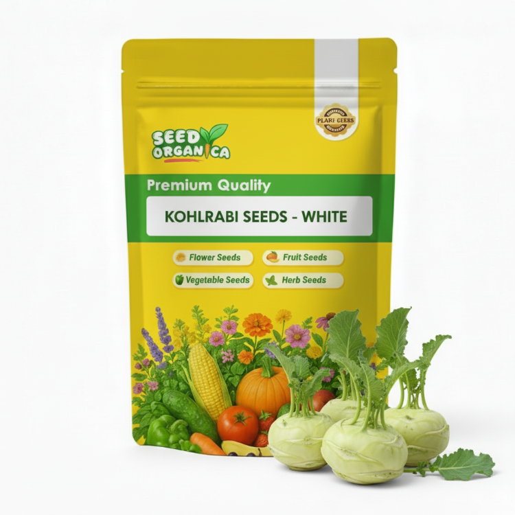 Kohlrabi Seeds - White