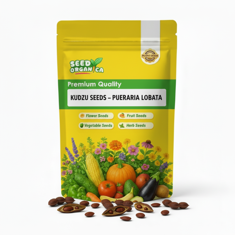 Kudzu Seeds – Pueraria Lobata