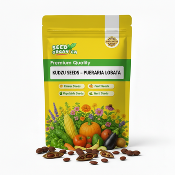 Kudzu Seeds – Pueraria Lobata