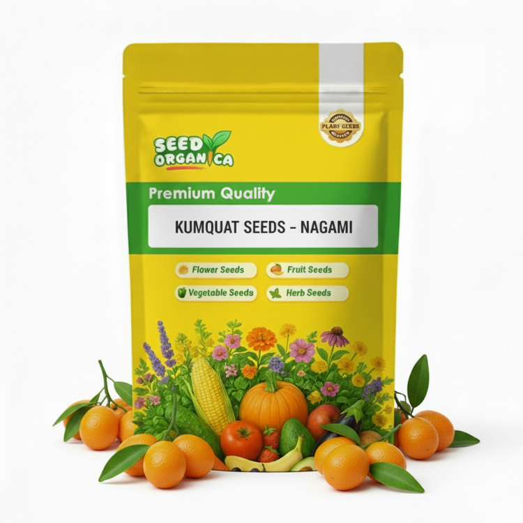 Kumquat Seeds – Nagami